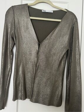 ZARA Shimmery Metallic Taupe V-Neck Long Sleeve Top